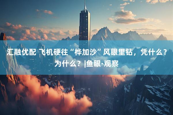 汇融优配 飞机硬往“桦加沙”风眼里钻，凭什么？为什么？|鱼眼·观察