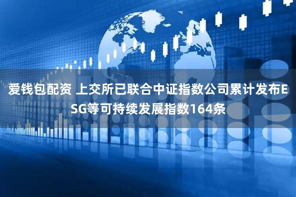 爱钱包配资 上交所已联合中证指数公司累计发布ESG等可持续发展指数164条