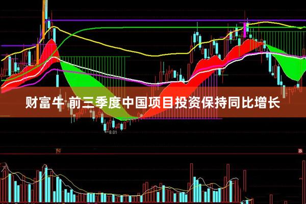 财富牛 前三季度中国项目投资保持同比增长