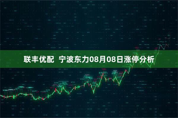 联丰优配  宁波东力08月08日涨停分析